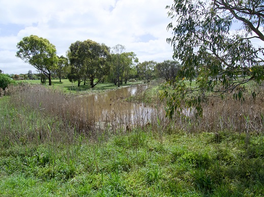 creek photo